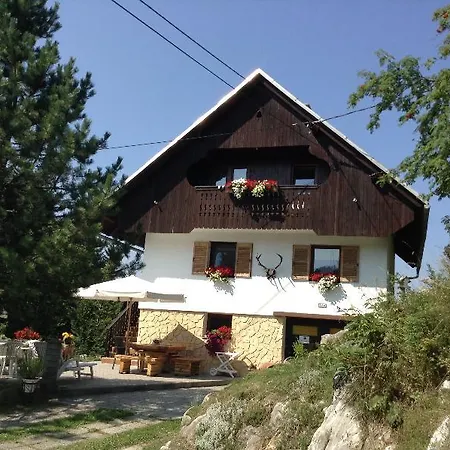Apartament Pod Rodico *