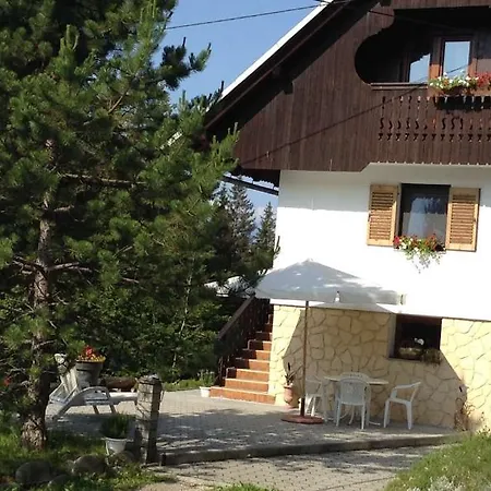 Apartament Pod Rodico *